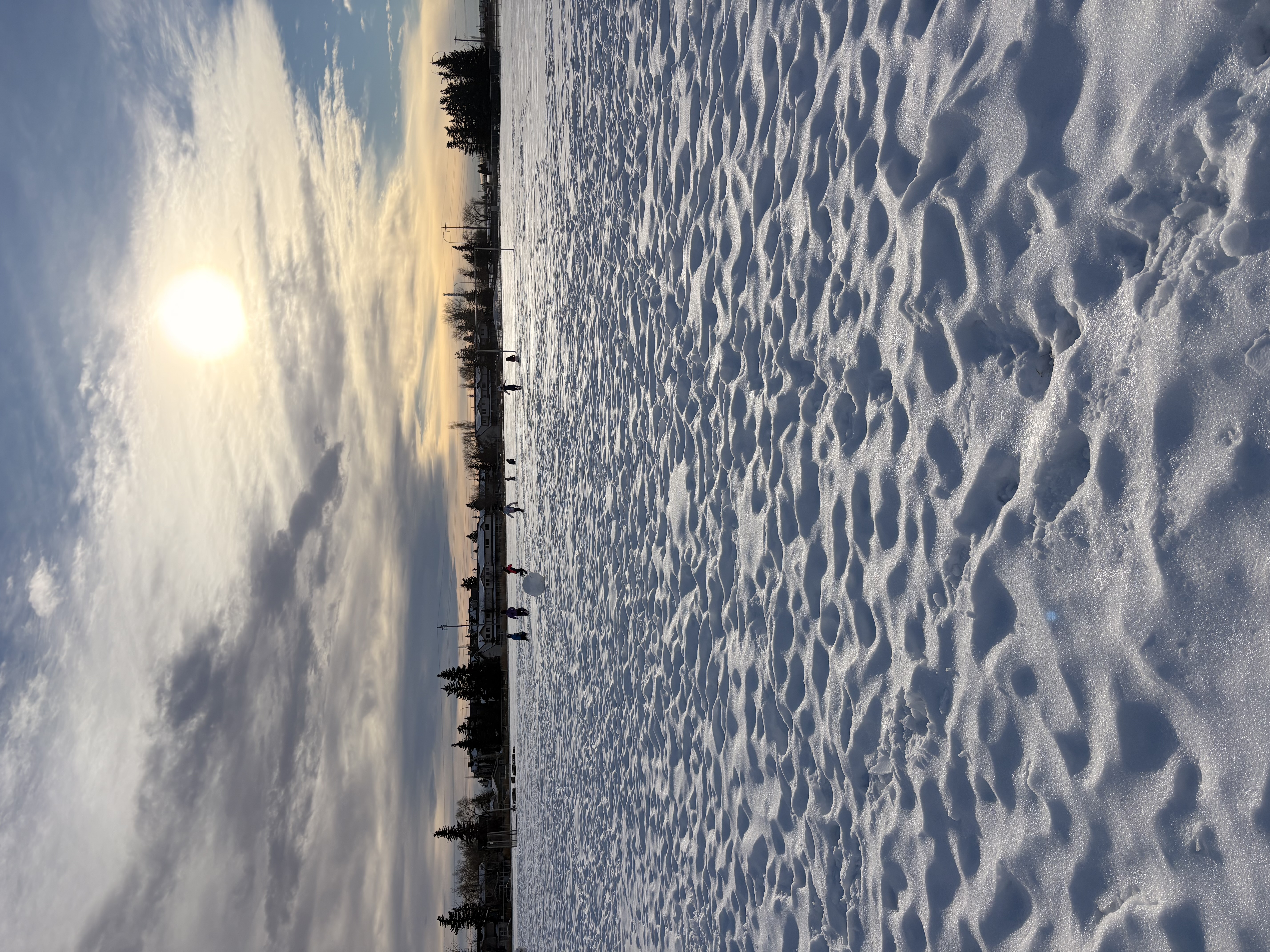 SnowNLC