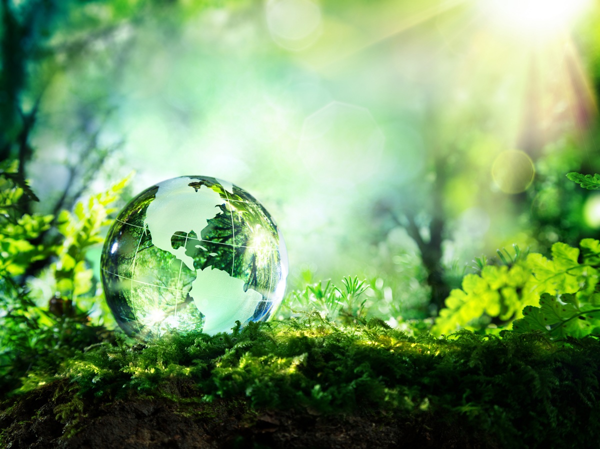 Earth Day, Globe, Outside, Garden