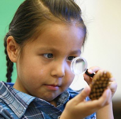child looking at pinecone